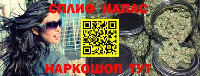 стаф Бузулук